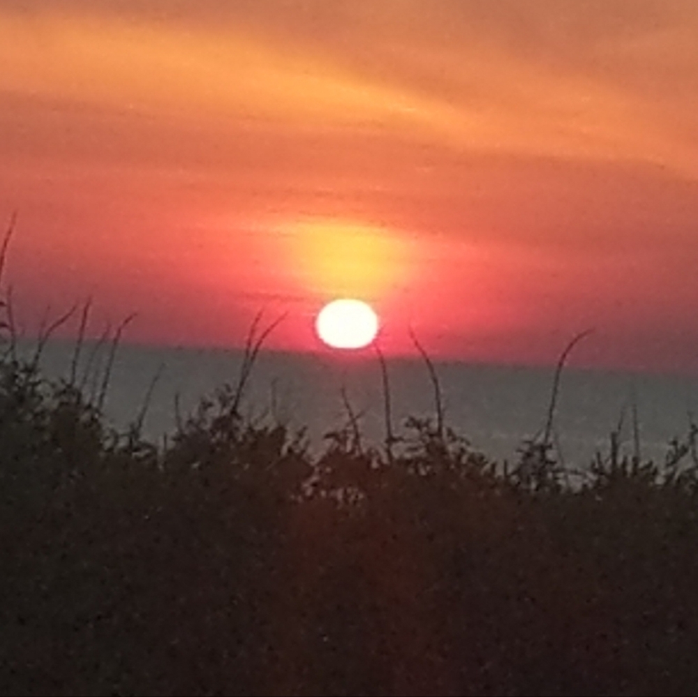 Meet your Posher, Janet